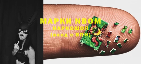 молекула духа Покров