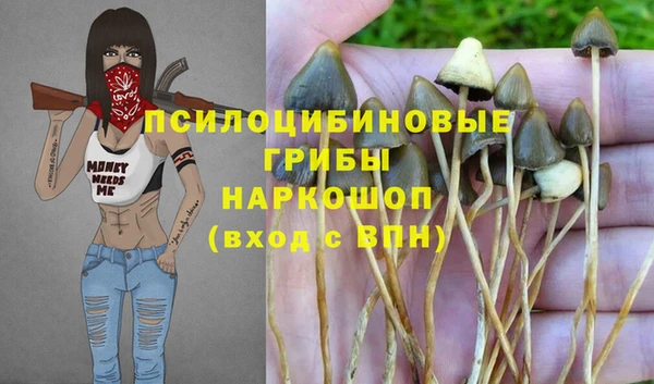 бошки Балахна