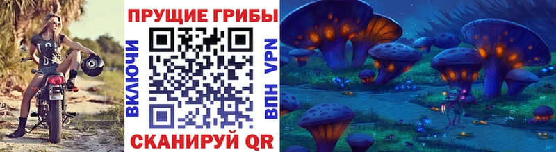 Галлюциногенные грибы Cubensis Лениногорск