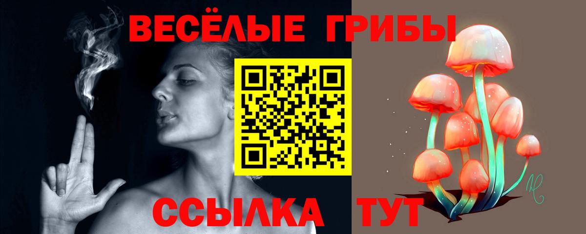 Галлюциногенные грибы GOLDEN TEACHER  Псилоцибиновые грибы ЛСД  Вход с VPN  цены наркотик  Лениногорск 