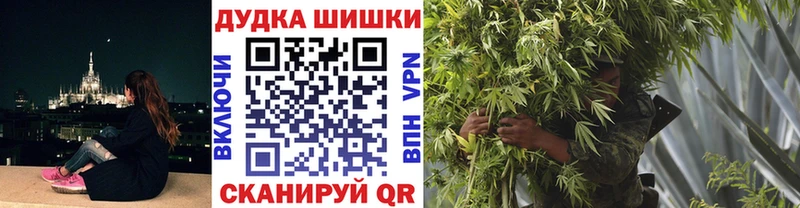 Шишки марихуана семена  Лениногорск 