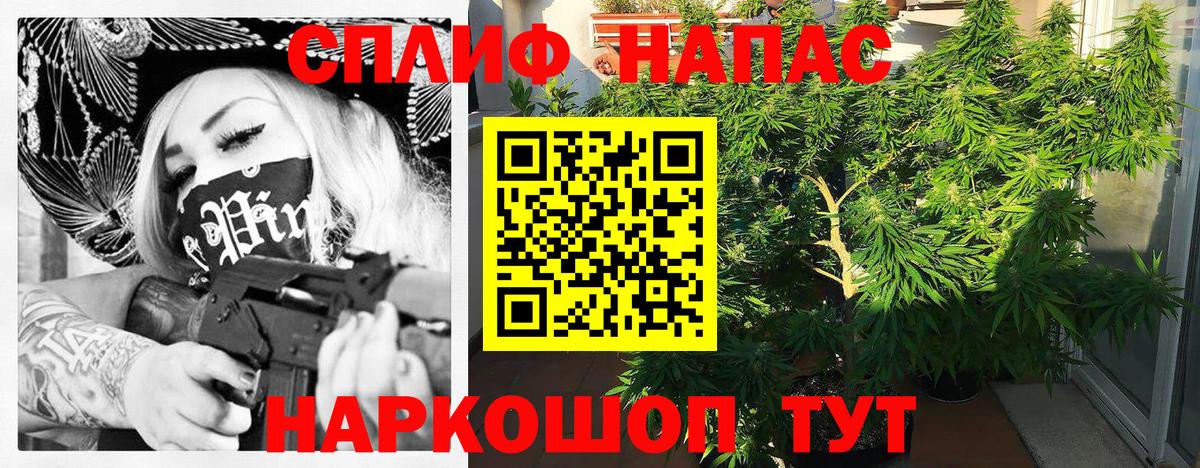 Шишки марихуана индика  Бошки марихуана Bruce Banner  Бошки марихуана план  Вход с VPN  Лениногорск 